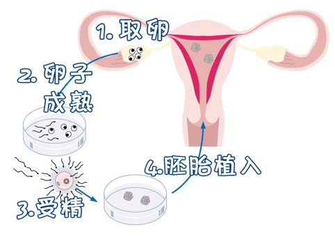 周副主任医师